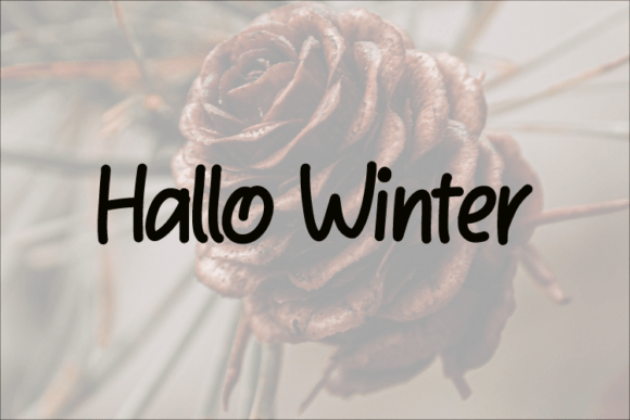 Hallo Winter: A Cozy Handwritten Font for Warm Branding Moments