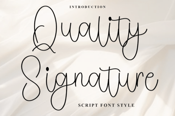 Quality Signature: A Soft, Versatile Script Amp Font for Modern Branding